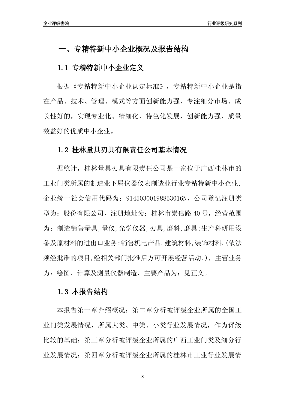 [专精特新]桂林量具刃具有限责任公司行业竞争力评级分析报告(2023版)_第3页