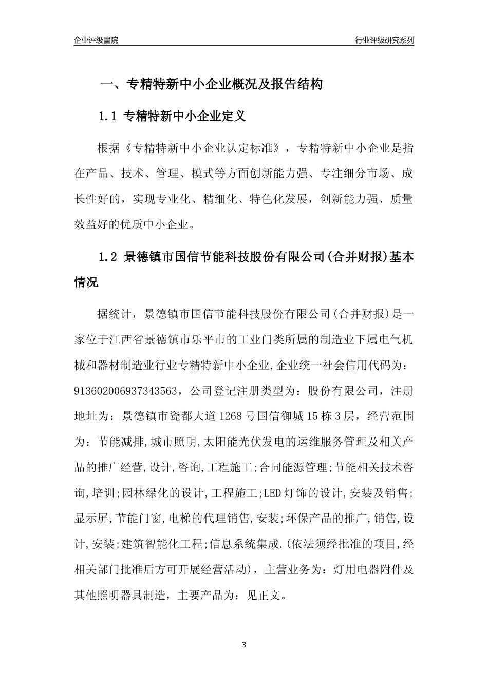 [专精特新]景德镇市国信节能科技股份有限公司(合并财报)行业竞争力评级分析报告(2023版)_第3页