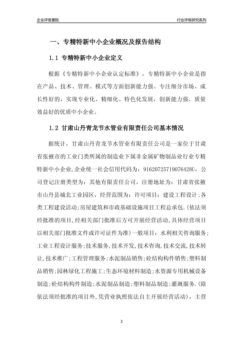 [专精特新]甘肃山丹青龙节水管业有限责任公司行业竞争力评级分析报告(2023版)_第3页