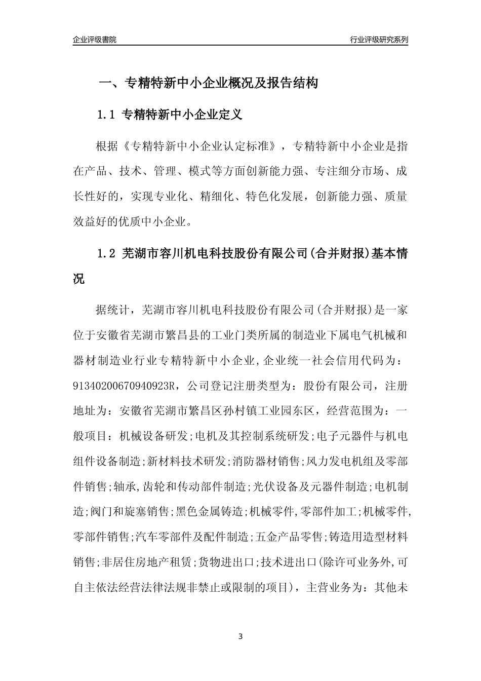 [专精特新]芜湖市容川机电科技股份有限公司(合并财报)行业竞争力评级分析报告(2023版)_第3页