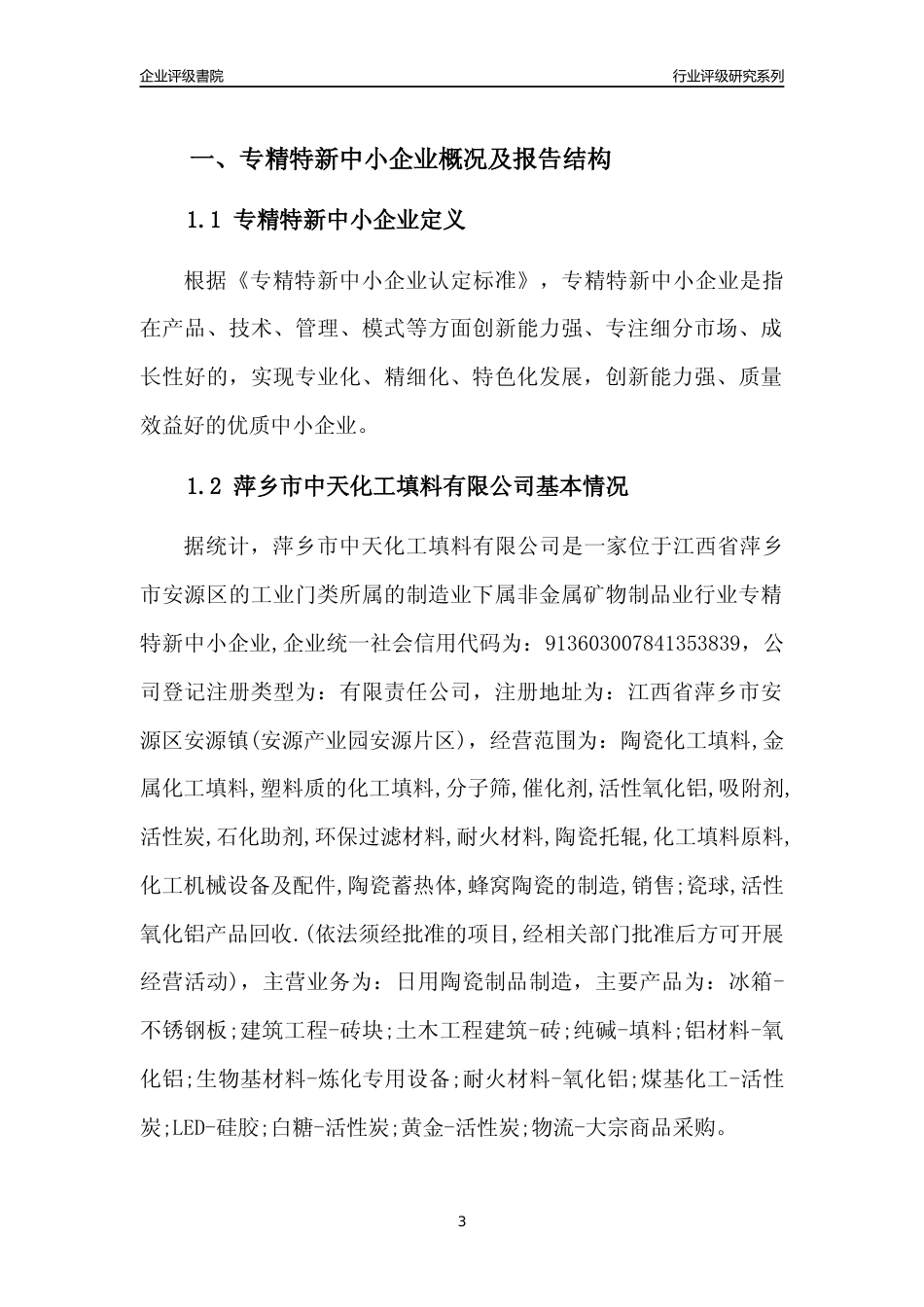 [专精特新]萍乡市中天化工填料有限公司行业竞争力评级分析报告(2023版)_第3页