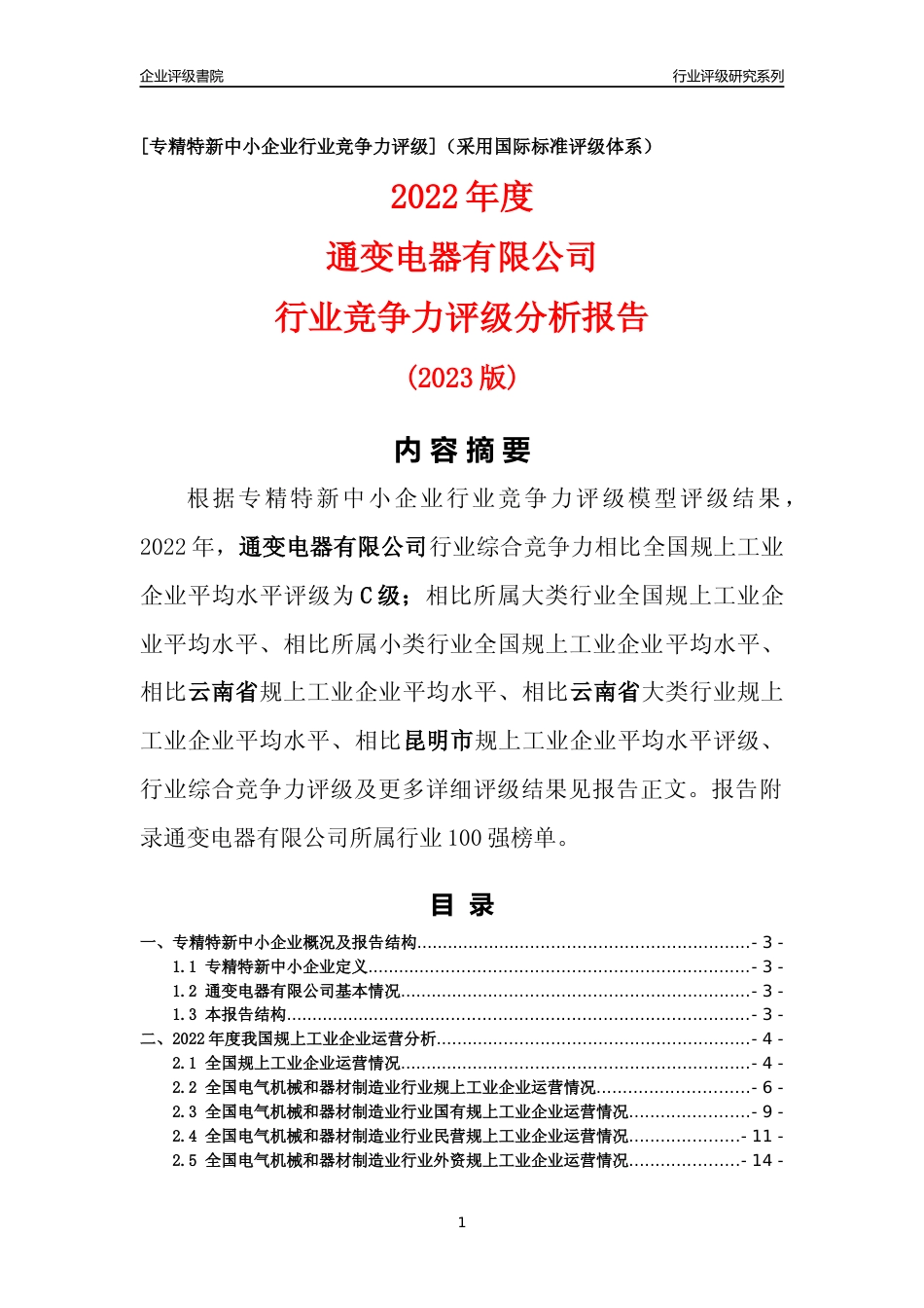 [专精特新]通变电器有限公司行业竞争力评级分析报告(2023版)_第1页