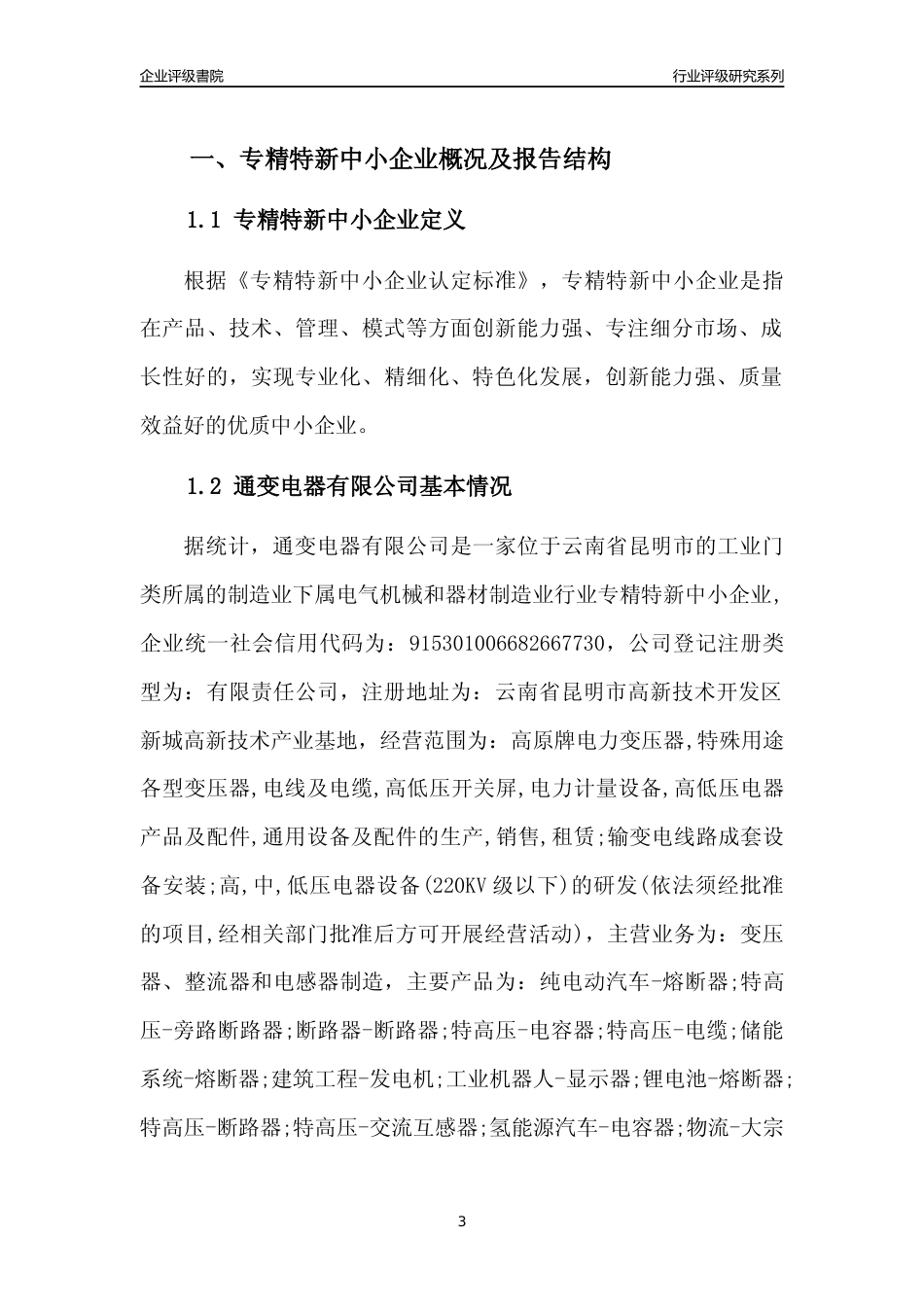 [专精特新]通变电器有限公司行业竞争力评级分析报告(2023版)_第3页