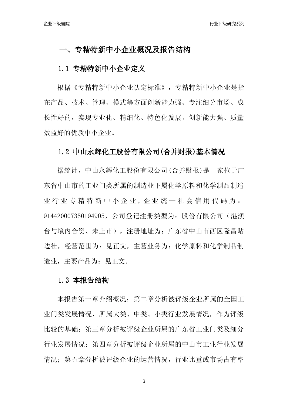 [专精特新]中山永辉化工股份有限公司(合并财报)行业竞争力评级分析报告(2023版)_第3页