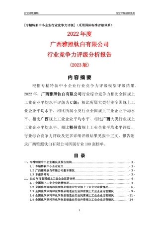 [专精特新]广西雅照钛白有限公司行业竞争力评级分析报告(2023版)