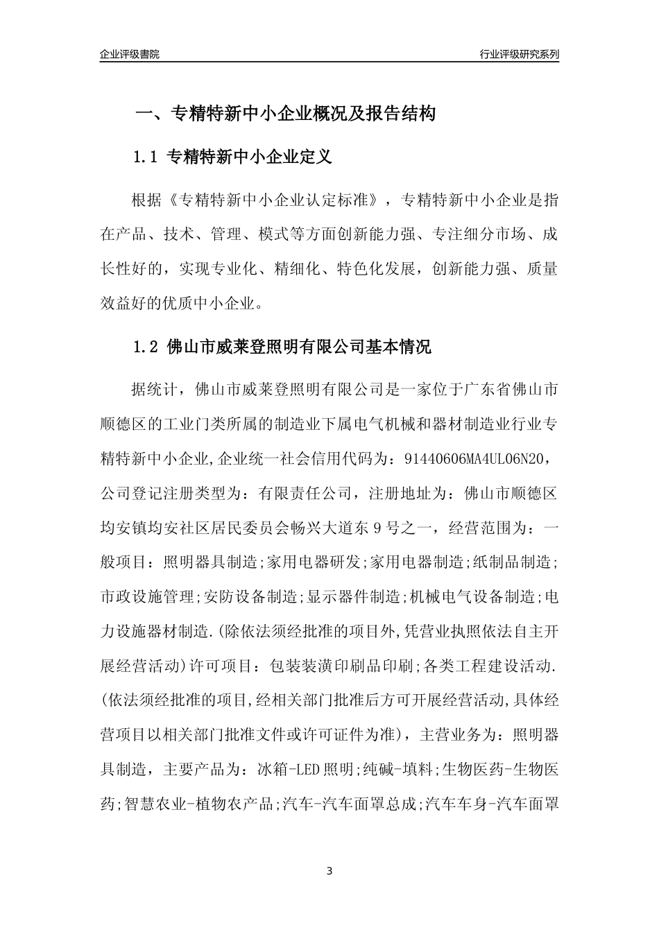 [专精特新]佛山市威莱登照明有限公司行业竞争力评级分析报告(2023版)_第3页