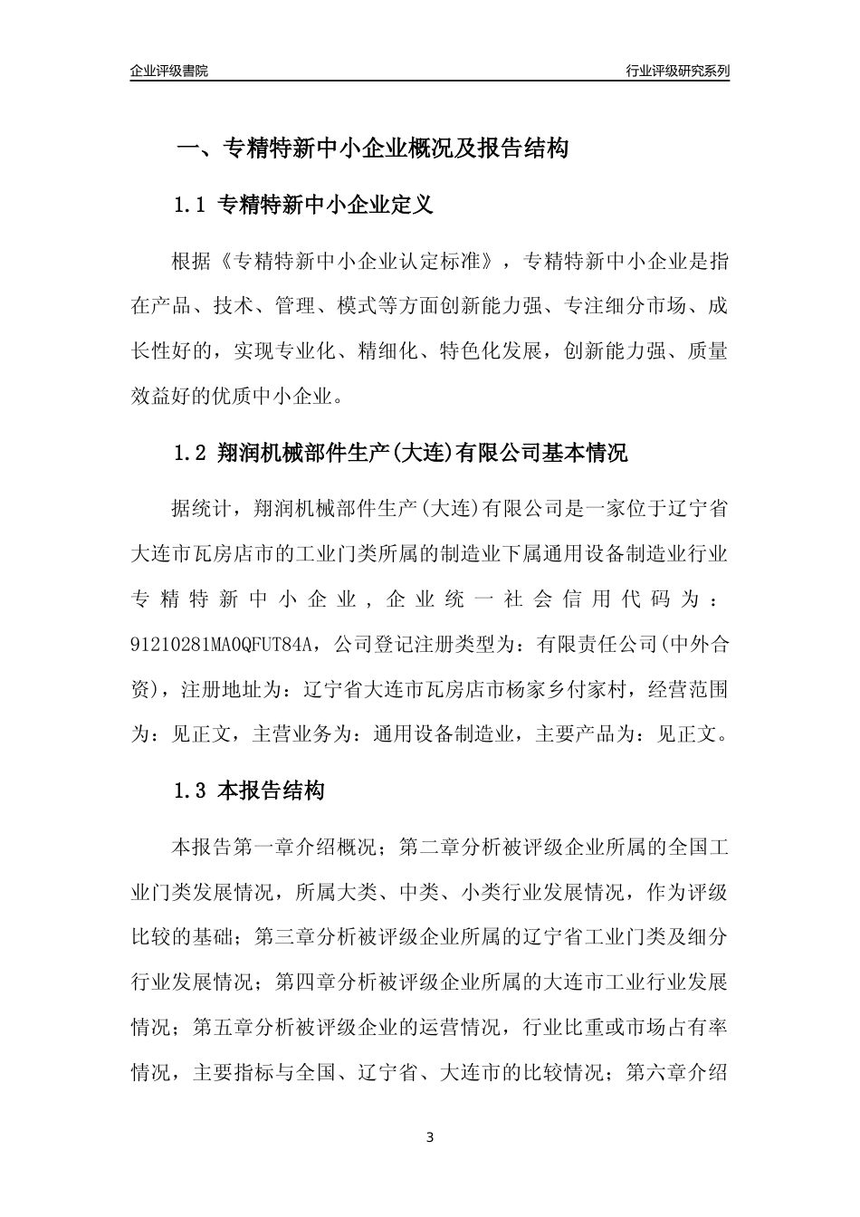 [专精特新]翔润机械部件生产(大连)有限公司行业竞争力评级分析报告(2023版)_第3页