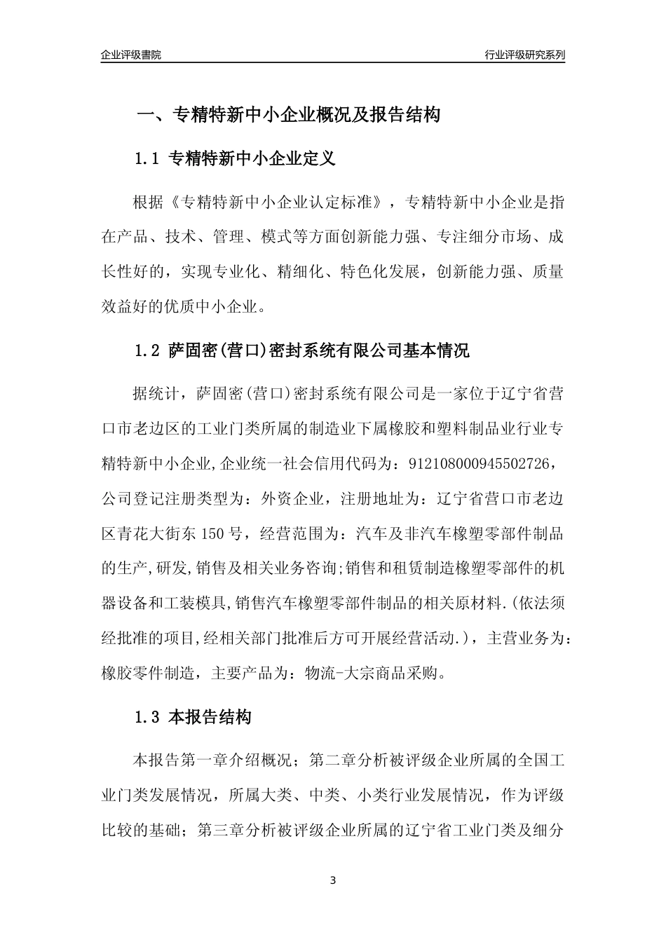 [专精特新]萨固密(营口)密封系统有限公司行业竞争力评级分析报告(2023版)_第3页