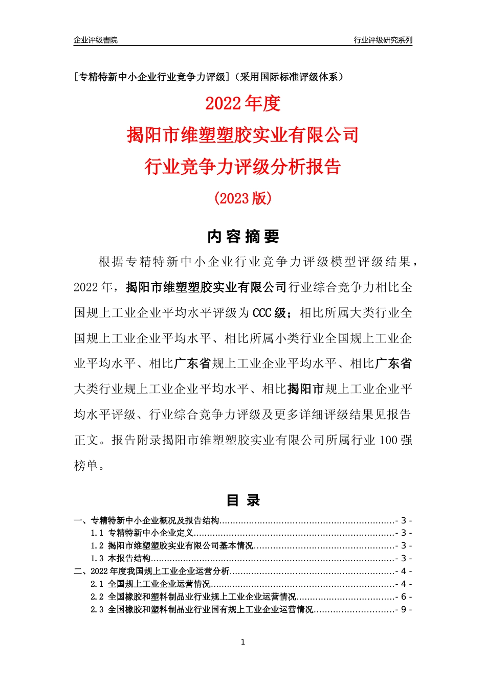[专精特新]揭阳市维塑塑胶实业有限公司行业竞争力评级分析报告(2023版)_第1页