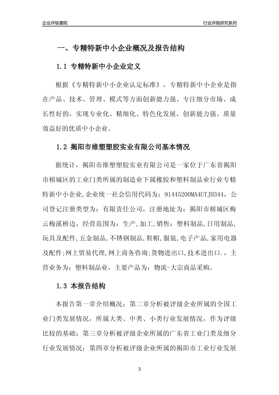 [专精特新]揭阳市维塑塑胶实业有限公司行业竞争力评级分析报告(2023版)_第3页