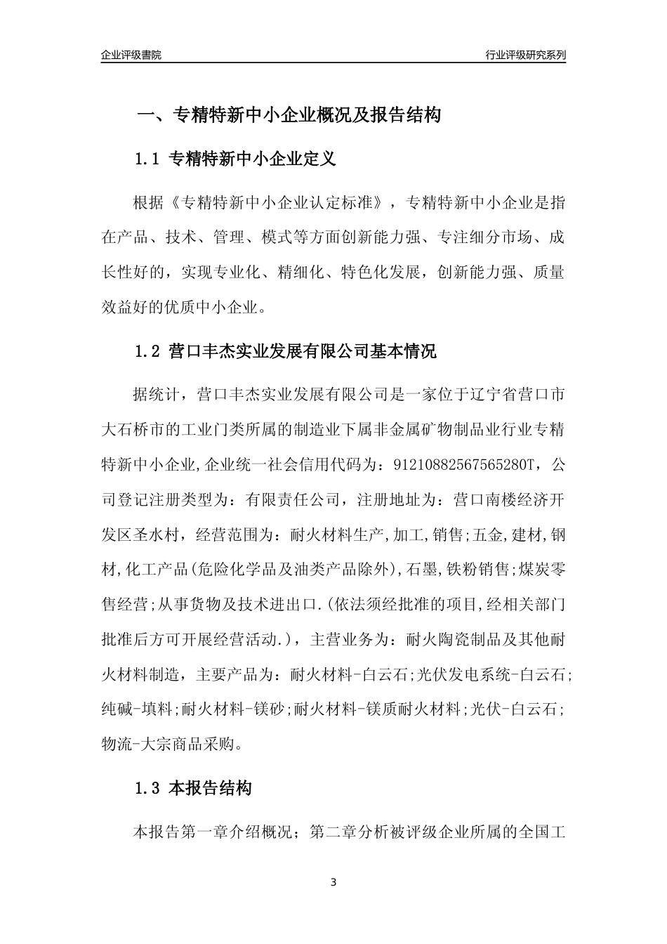 [专精特新]营口丰杰实业发展有限公司行业竞争力评级分析报告(2023版)_第3页