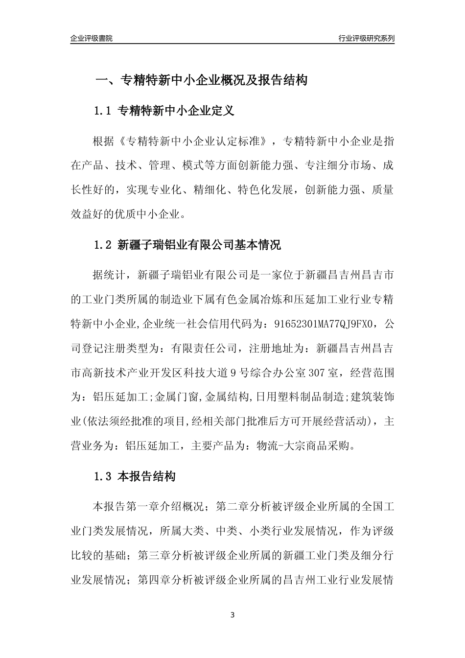 [专精特新]新疆子瑞铝业有限公司行业竞争力评级分析报告(2023版)_第3页