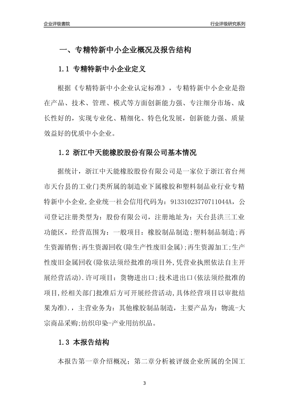 [专精特新]浙江中天能橡胶股份有限公司行业竞争力评级分析报告(2023版)_第3页