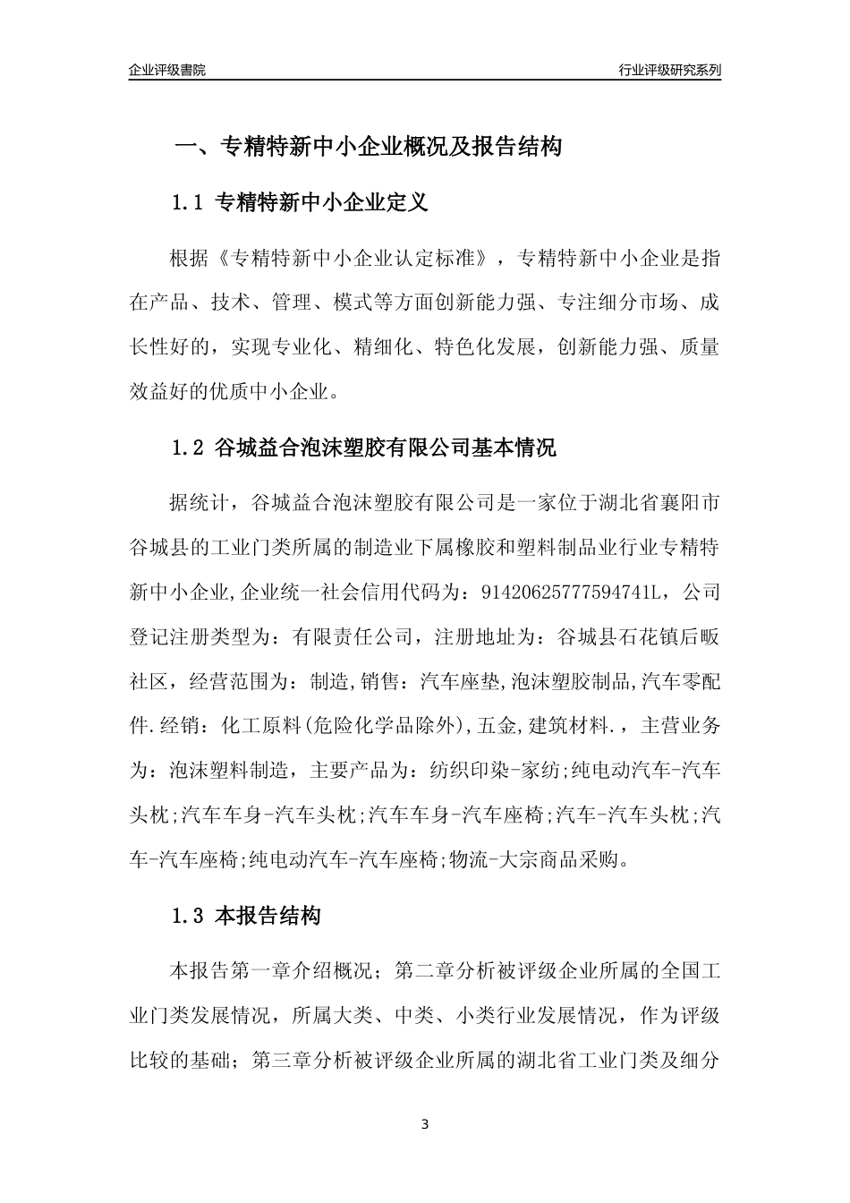 [专精特新]谷城益合泡沫塑胶有限公司行业竞争力评级分析报告(2023版)_第3页