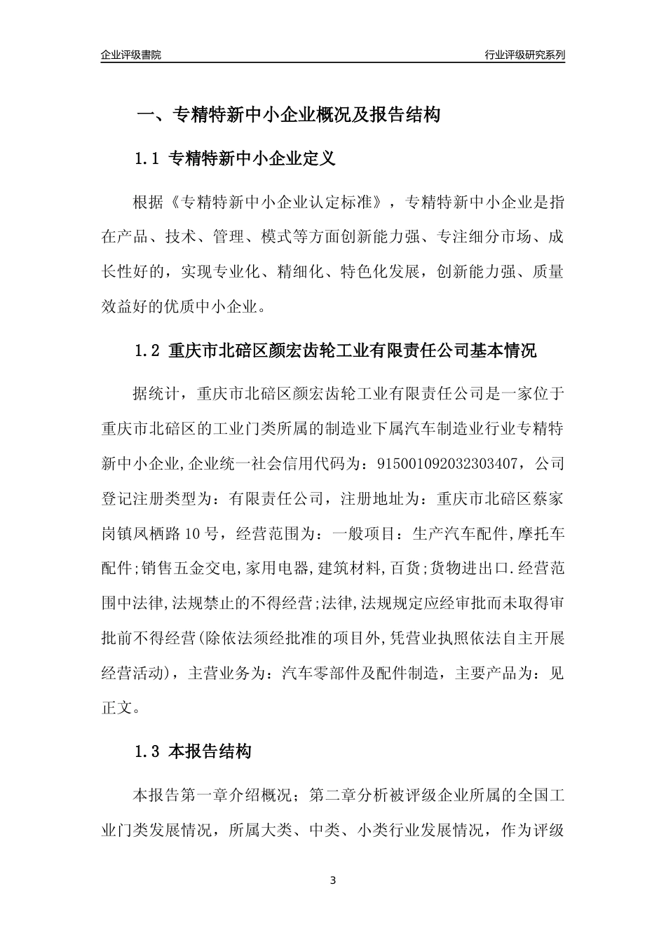 [专精特新]重庆市北碚区颜宏齿轮工业有限责任公司行业竞争力评级分析报告(2023版)_第3页