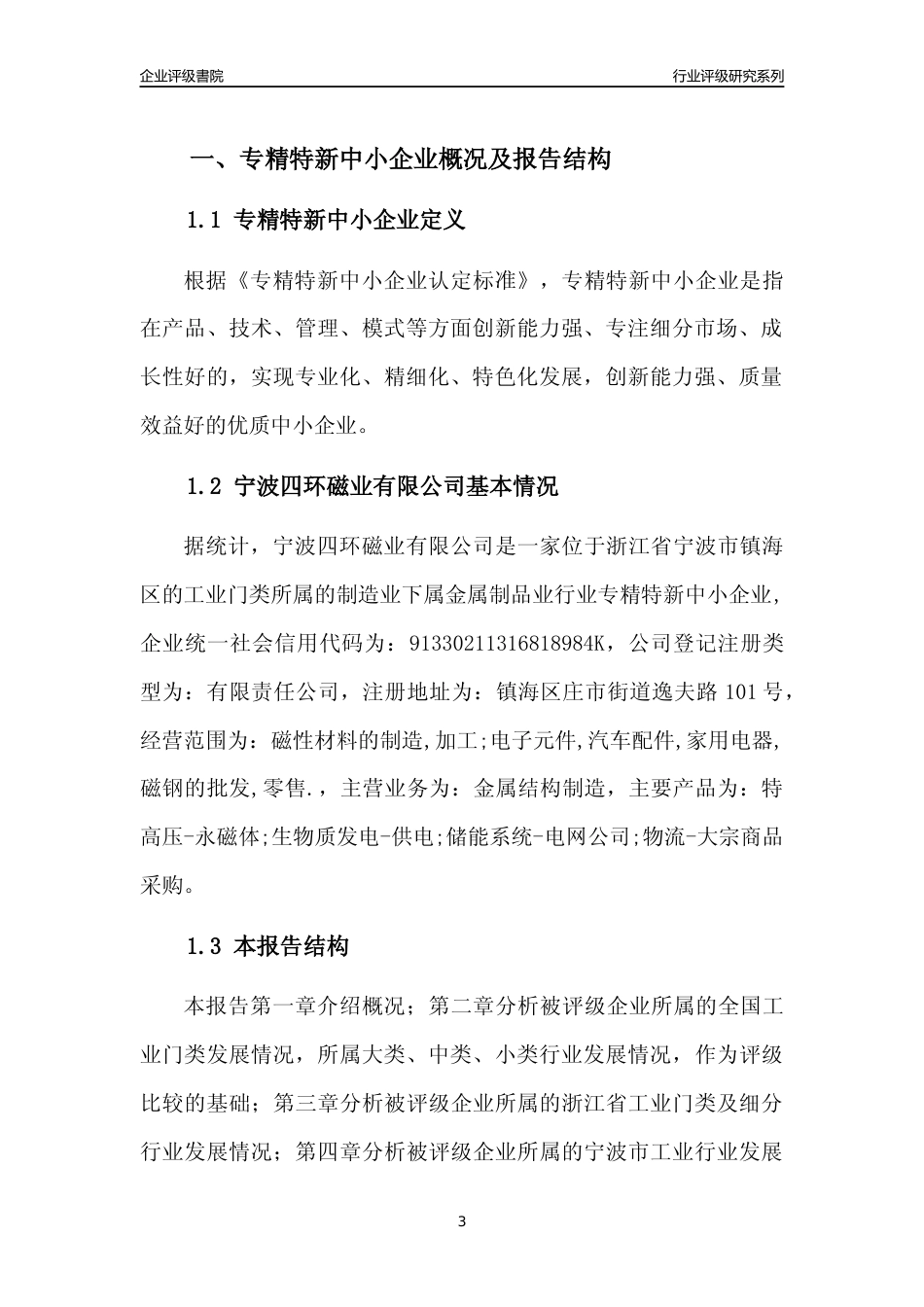 [专精特新]宁波四环磁业有限公司行业竞争力评级分析报告(2023版)_第3页