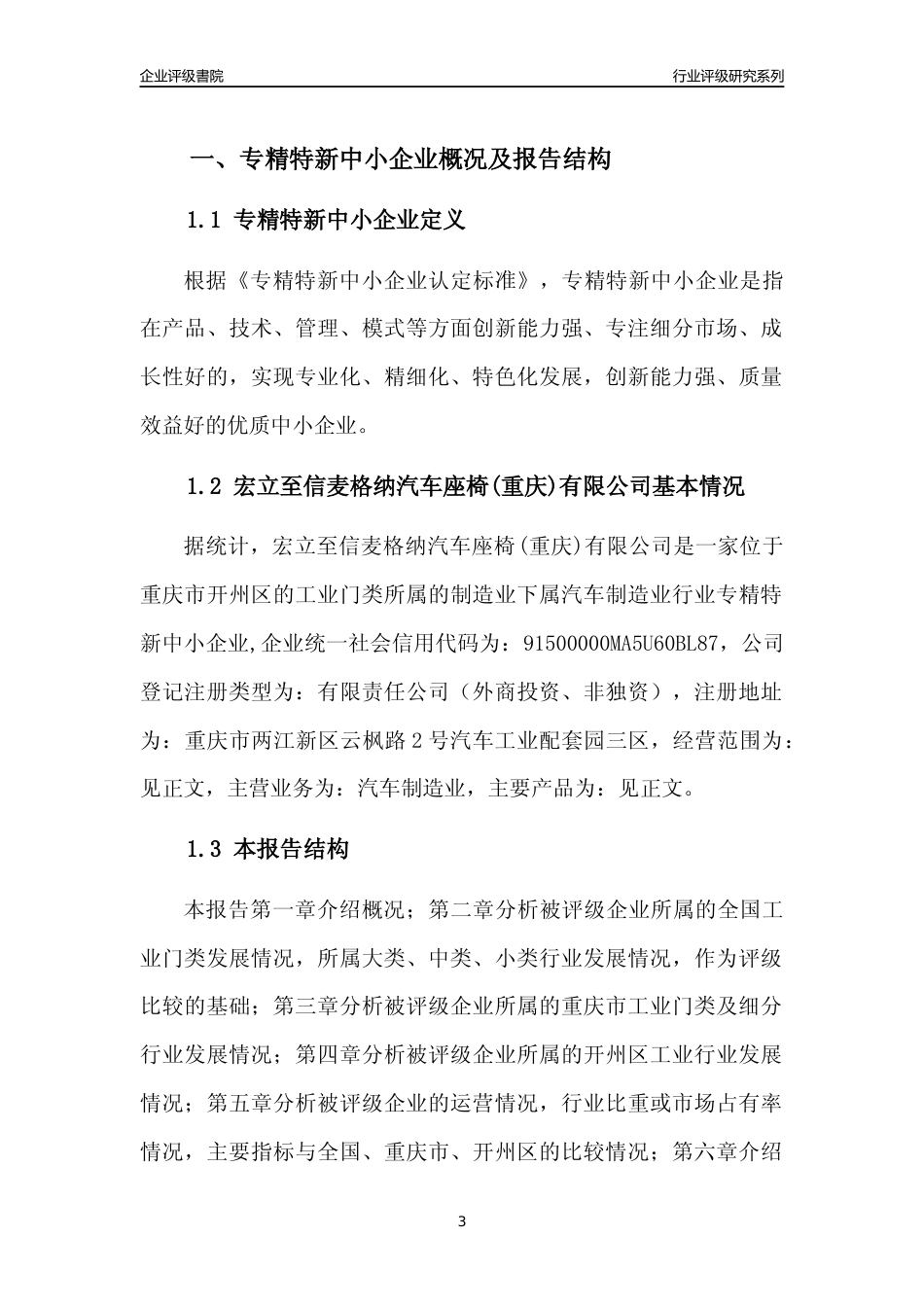[专精特新]宏立至信麦格纳汽车座椅(重庆)有限公司行业竞争力评级分析报告(2023版)_第3页
