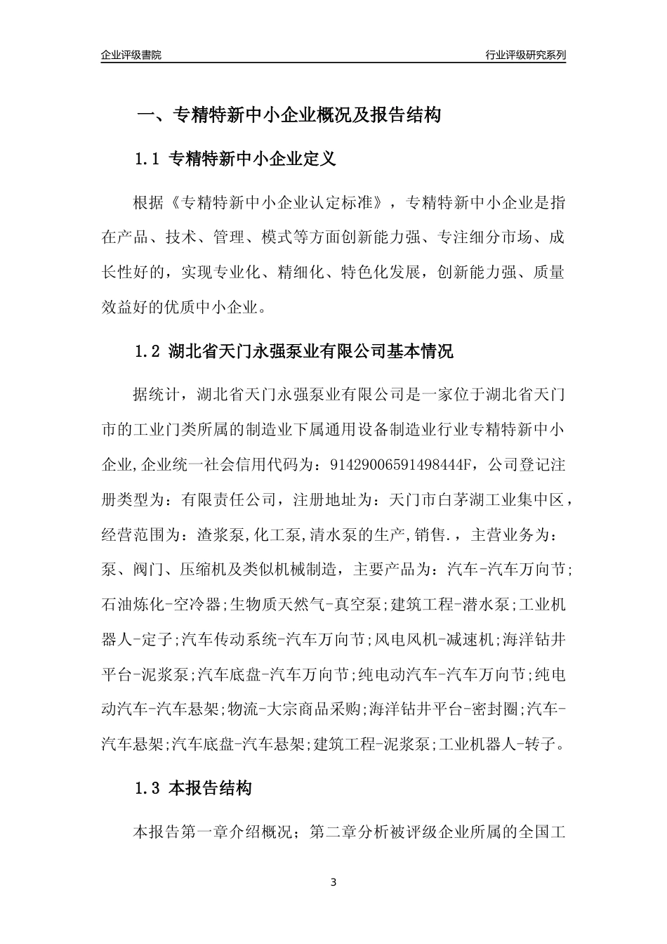 [专精特新]湖北省天门永强泵业有限公司行业竞争力评级分析报告(2023版)_第3页