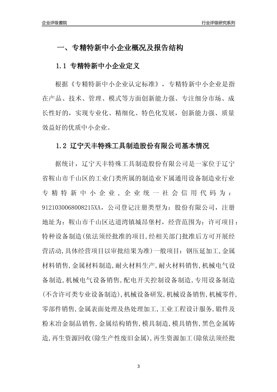 [专精特新]辽宁天丰特殊工具制造股份有限公司行业竞争力评级分析报告(2023版)_第3页