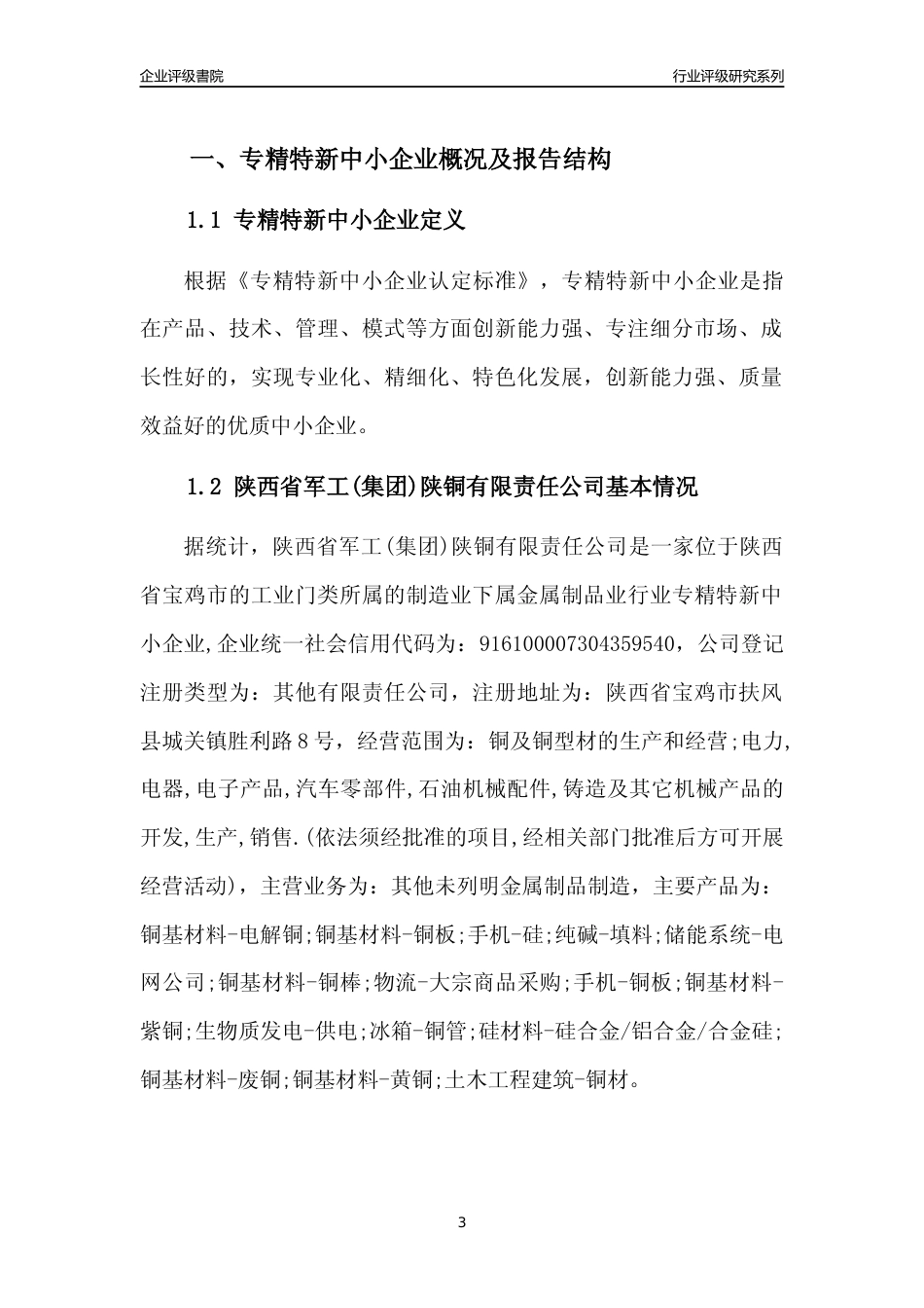 [专精特新]陕西省军工(集团)陕铜有限责任公司行业竞争力评级分析报告(2023版)_第3页