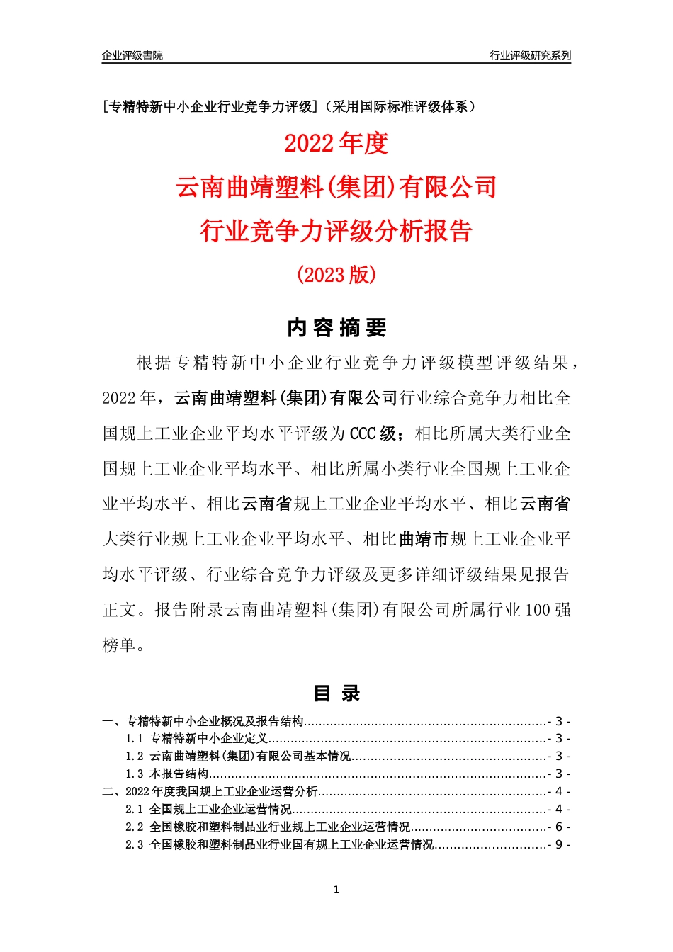 [专精特新]云南曲靖塑料(集团)有限公司行业竞争力评级分析报告(2023版)_第1页