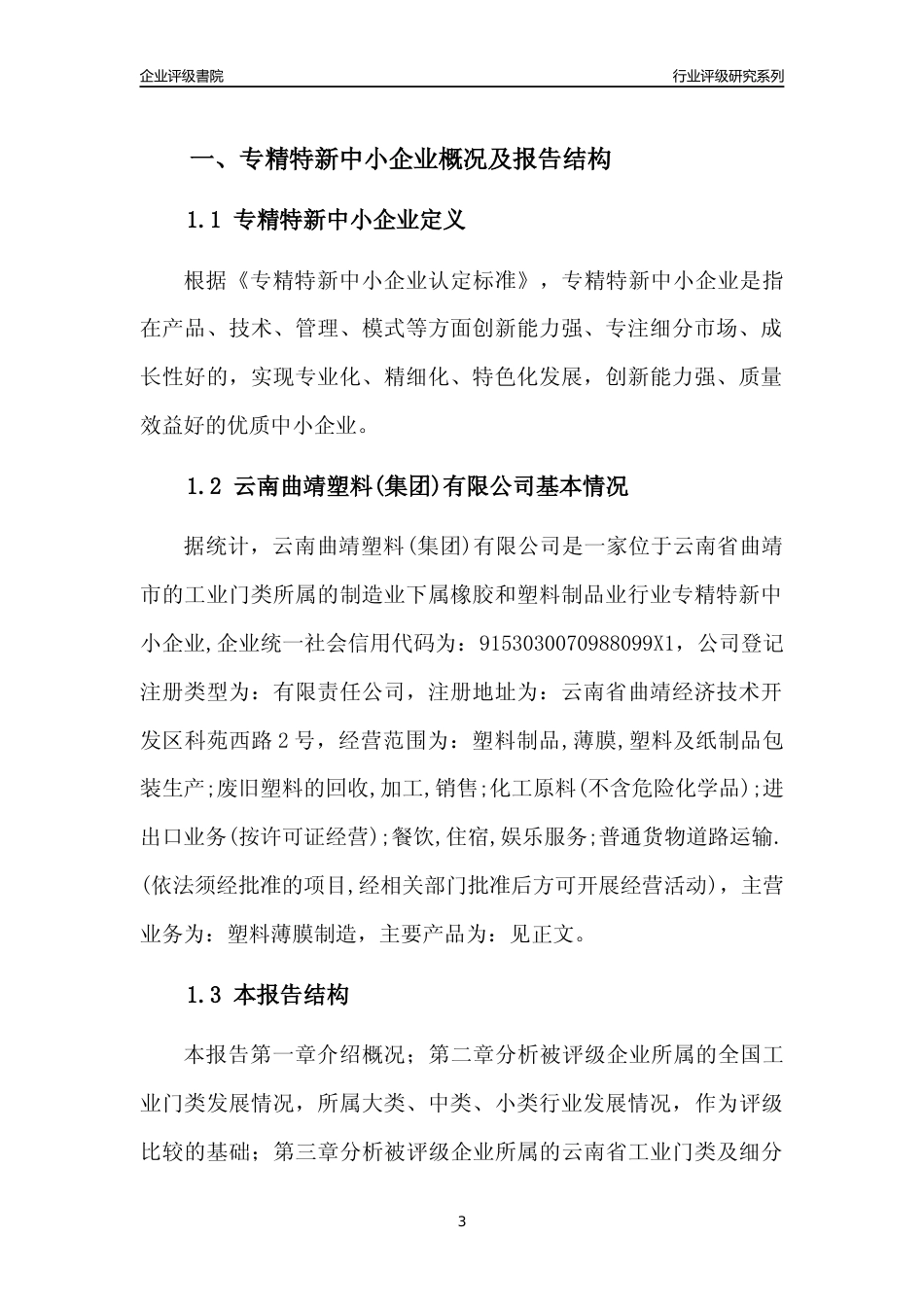 [专精特新]云南曲靖塑料(集团)有限公司行业竞争力评级分析报告(2023版)_第3页