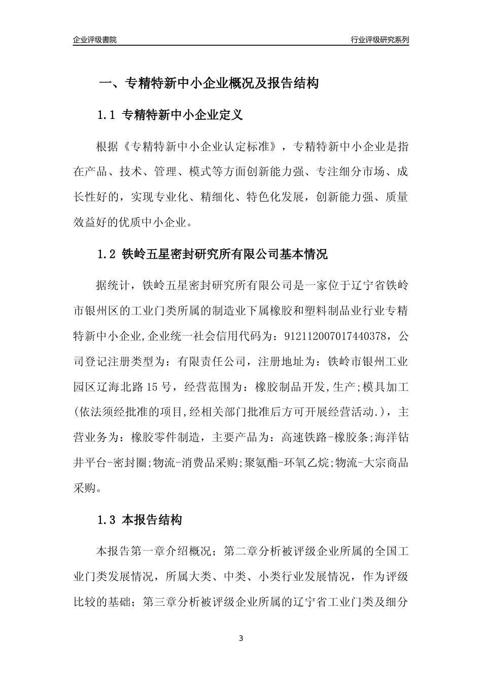 [专精特新]铁岭五星密封研究所有限公司行业竞争力评级分析报告(2023版)_第3页