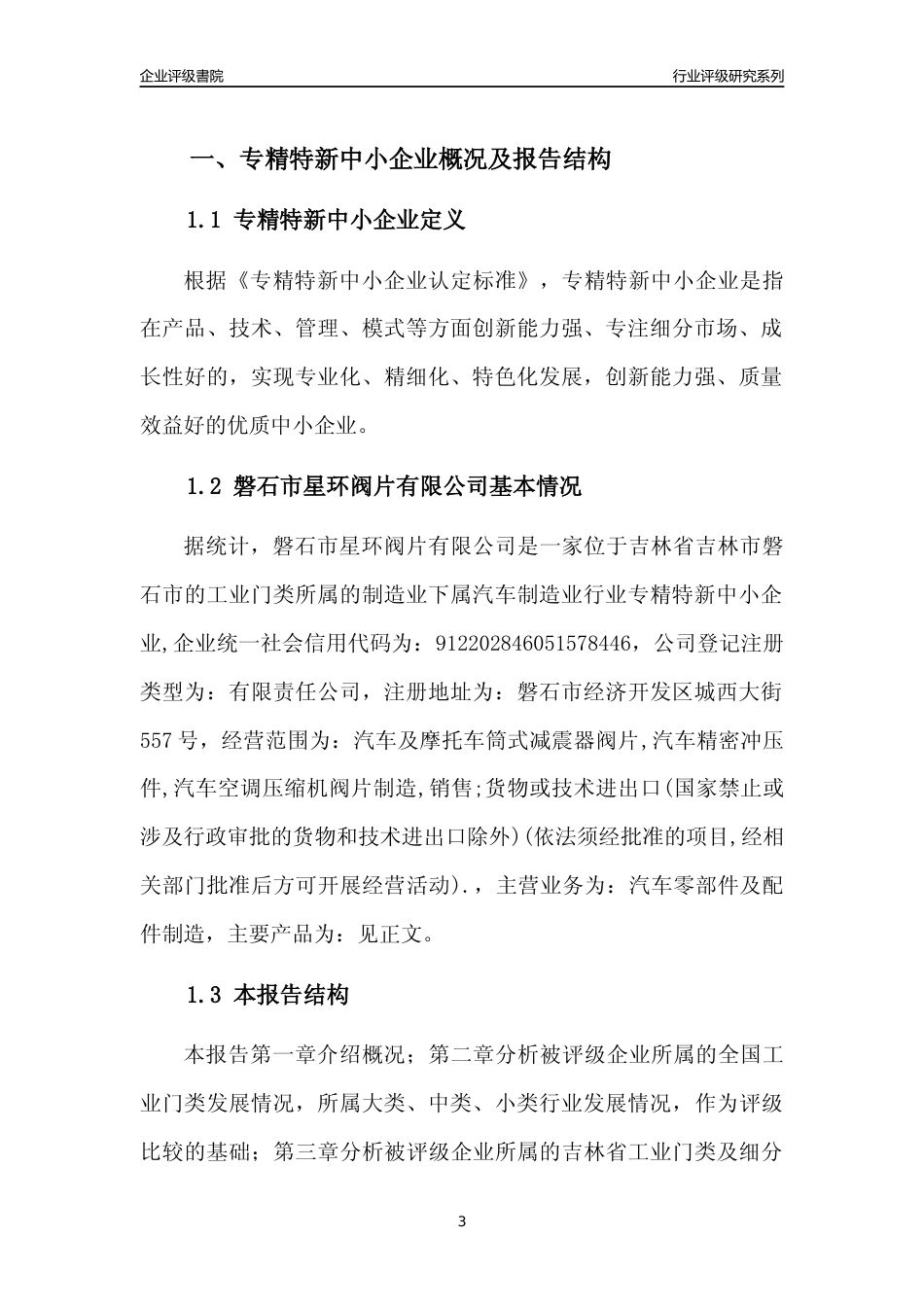 [专精特新]磐石市星环阀片有限公司行业竞争力评级分析报告(2023版)_第3页