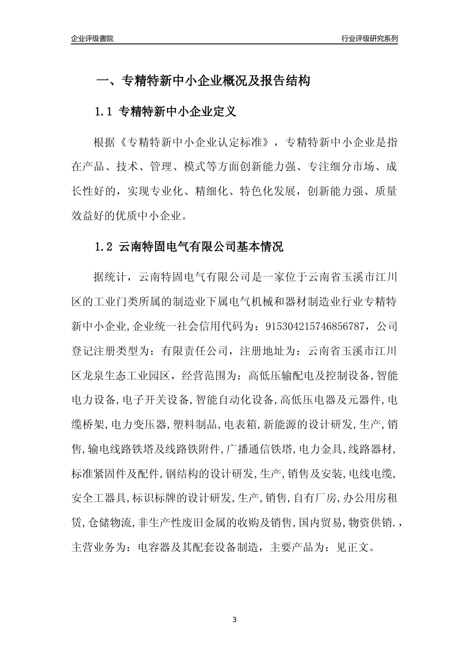 [专精特新]云南特固电气有限公司行业竞争力评级分析报告(2023版)_第3页