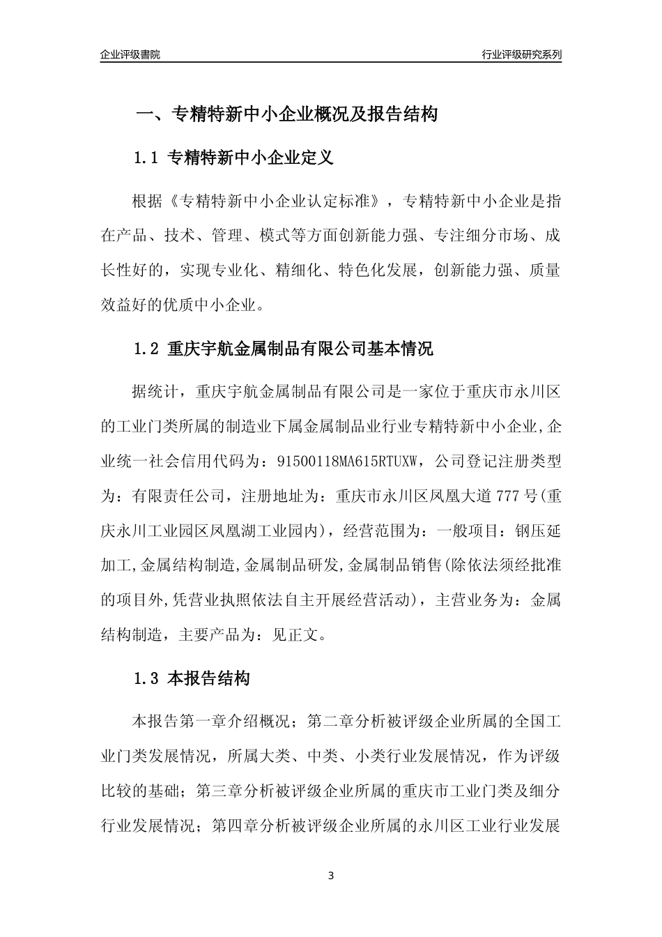 [专精特新]重庆宇航金属制品有限公司行业竞争力评级分析报告(2023版)_第3页