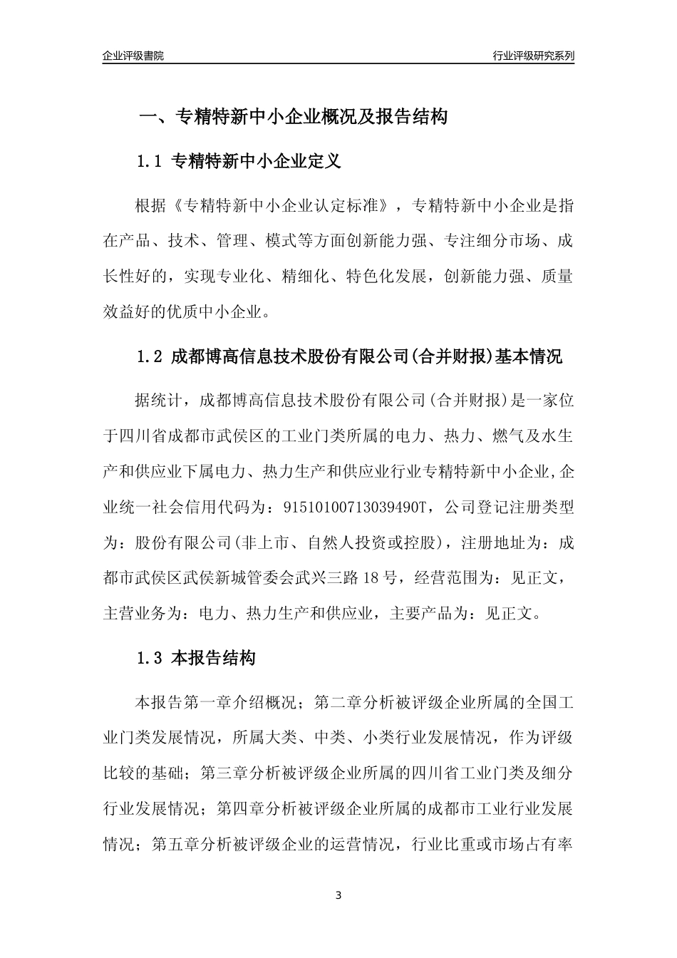 [专精特新]成都博高信息技术股份有限公司(合并财报)行业竞争力评级分析报告(2023版)_第3页