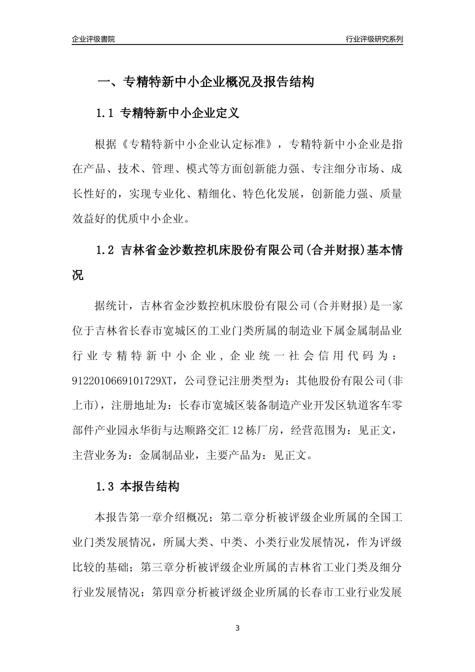 [专精特新]吉林省金沙数控机床股份有限公司(合并财报)行业竞争力评级分析报告(2023版)_第3页