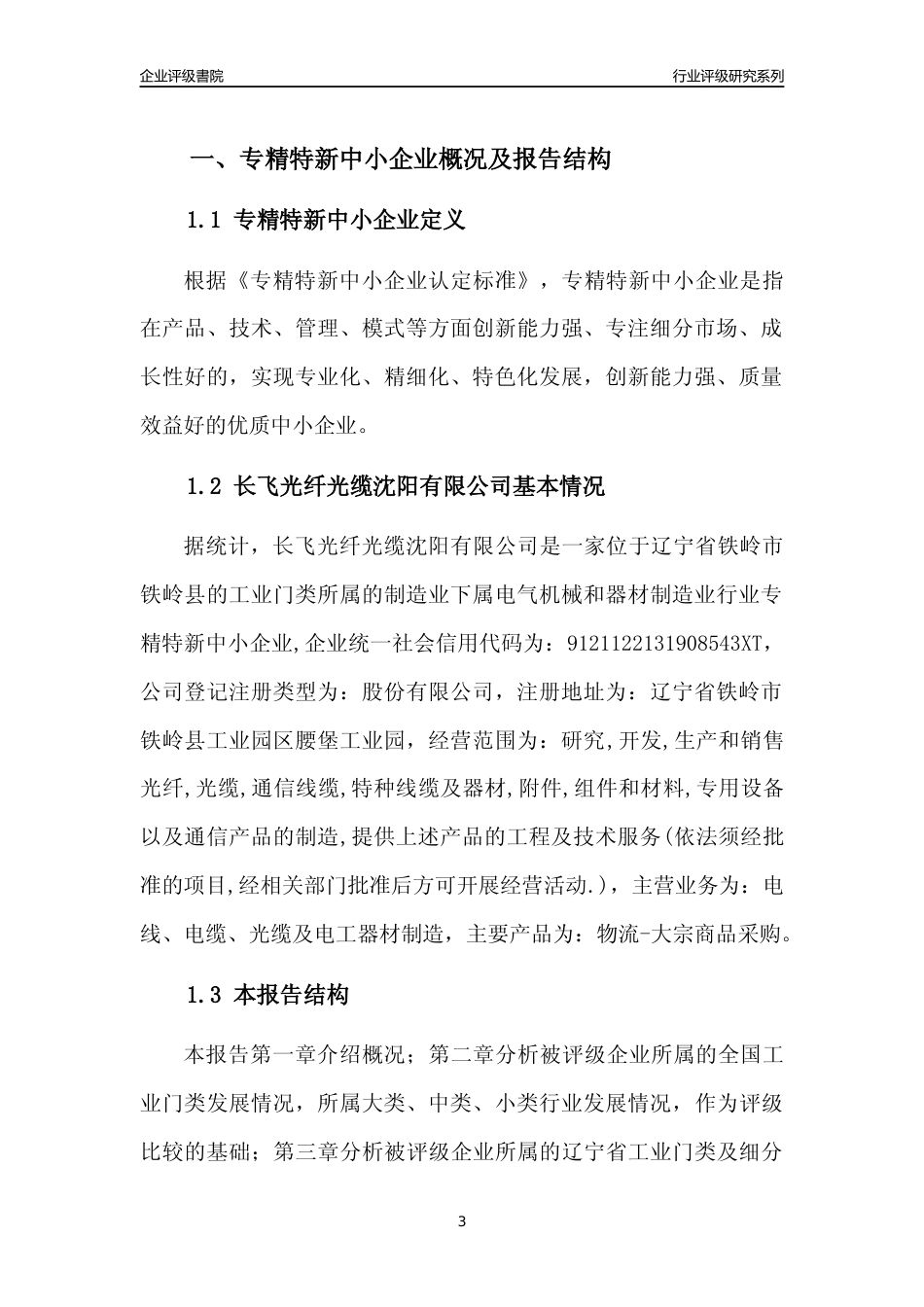 [专精特新]长飞光纤光缆沈阳有限公司行业竞争力评级分析报告(2023版)_第3页