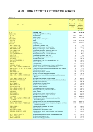 广东统计年鉴2023 12-23规模以上大中型工业企业主要经济指标(2022年)