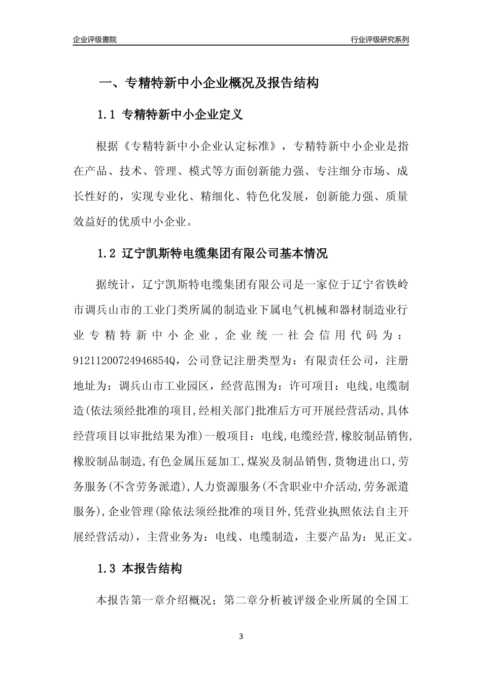 [专精特新]辽宁凯斯特电缆集团有限公司行业竞争力评级分析报告(2023版)_第3页