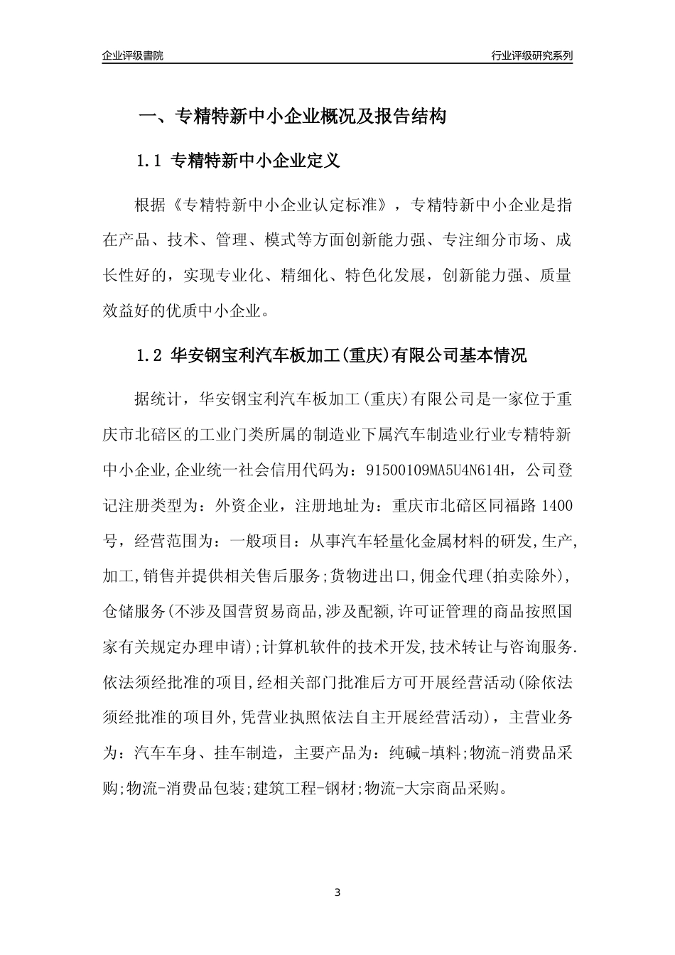 [专精特新]华安钢宝利汽车板加工(重庆)有限公司行业竞争力评级分析报告(2023版)_第3页
