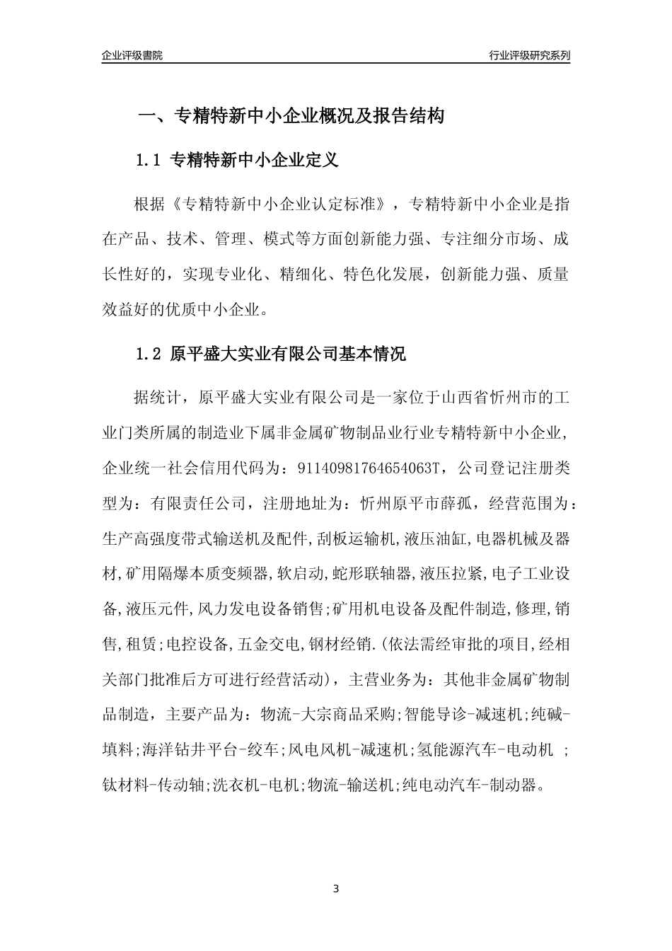 [专精特新]原平盛大实业有限公司行业竞争力评级分析报告(2023版)_第3页