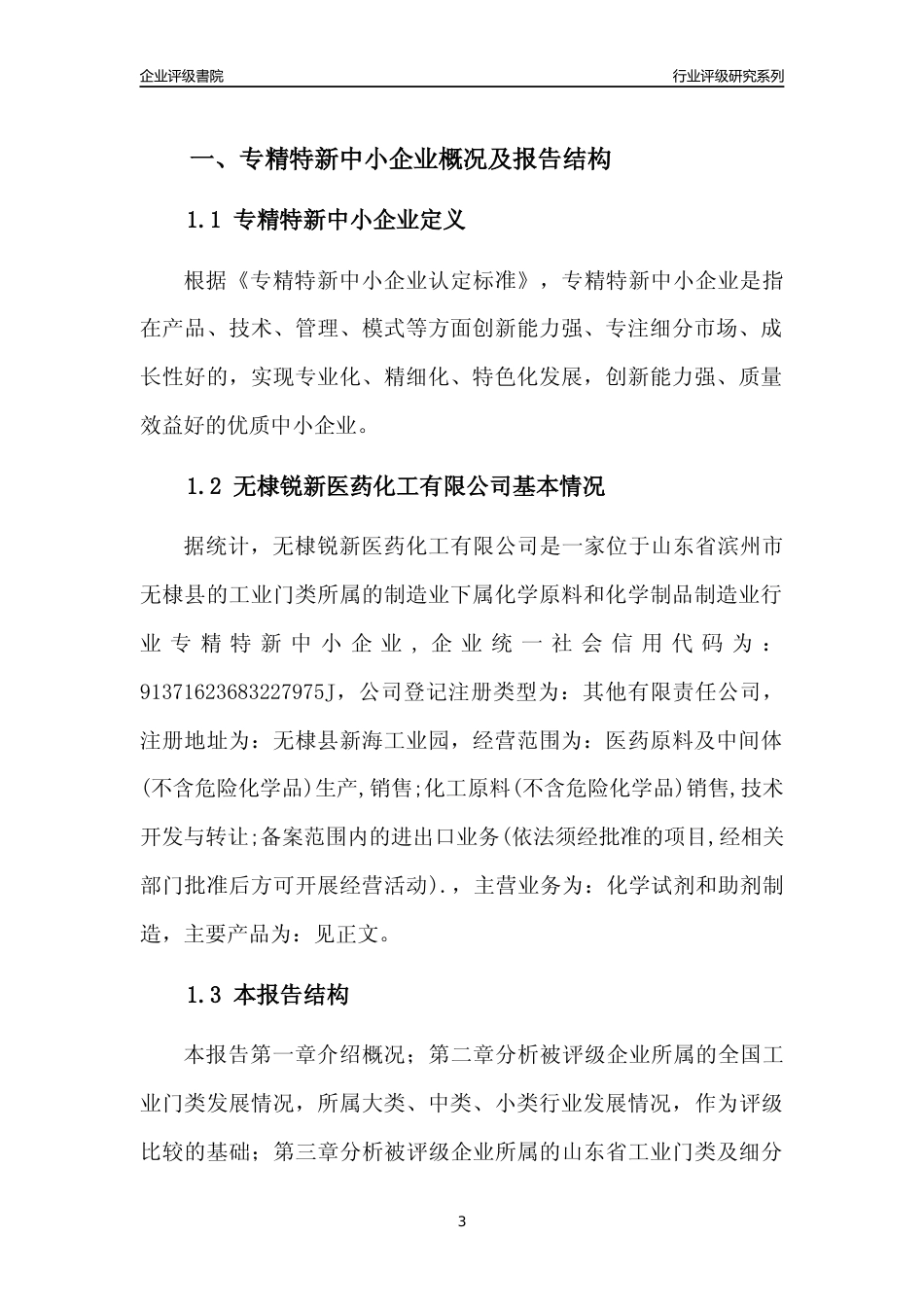 [专精特新]无棣锐新医药化工有限公司行业竞争力评级分析报告(2023版)_第3页