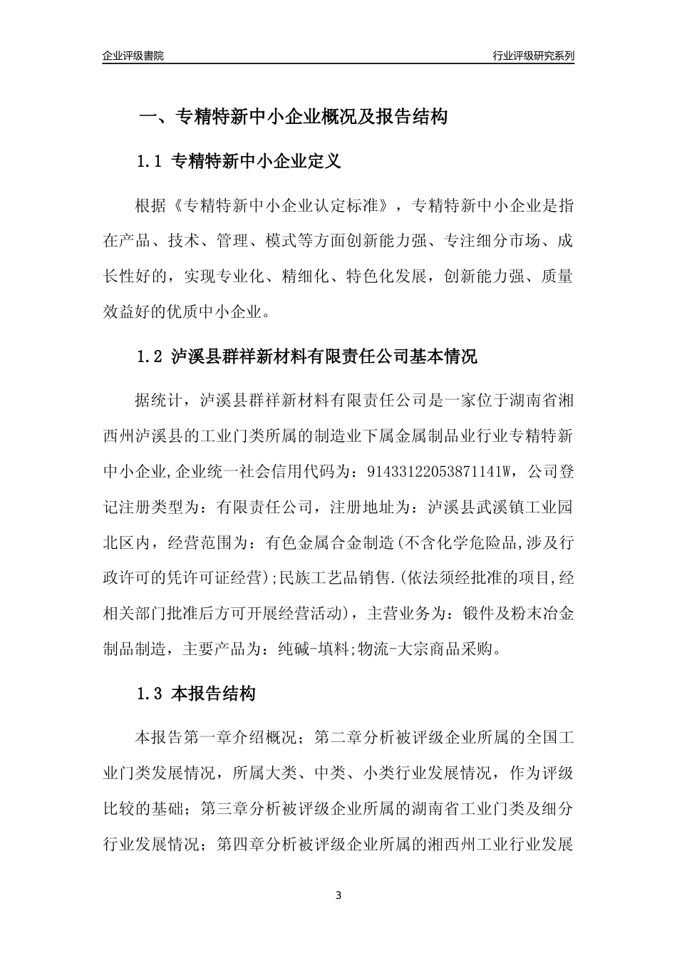 [专精特新]泸溪县群祥新材料有限责任公司行业竞争力评级分析报告(2023版)_第3页