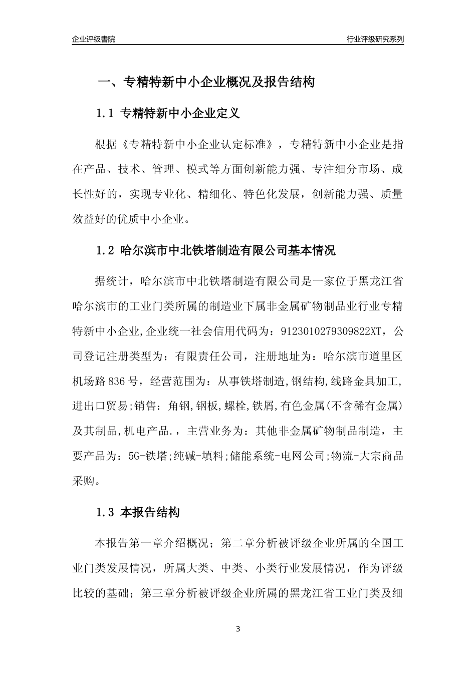 [专精特新]哈尔滨市中北铁塔制造有限公司行业竞争力评级分析报告(2023版)_第3页