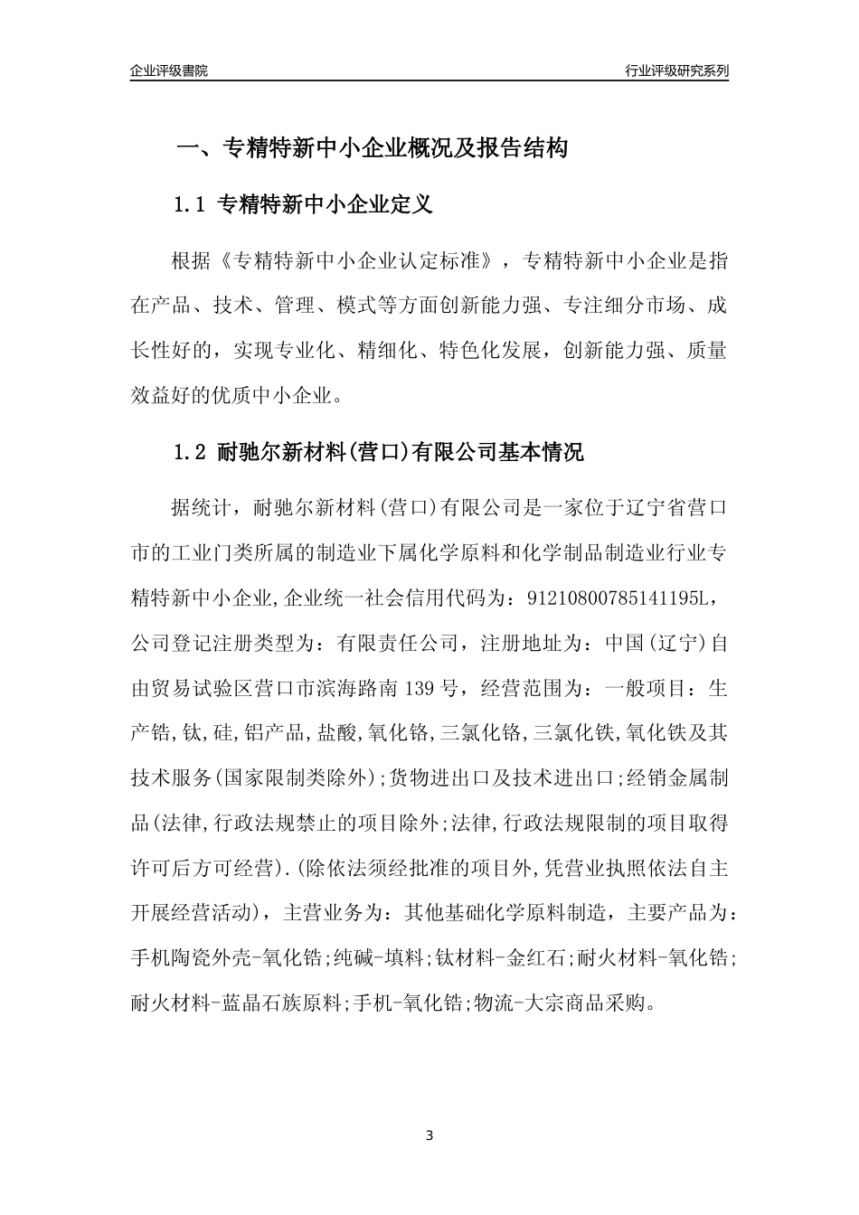 [专精特新]耐驰尔新材料(营口)有限公司行业竞争力评级分析报告(2023版)_第3页
