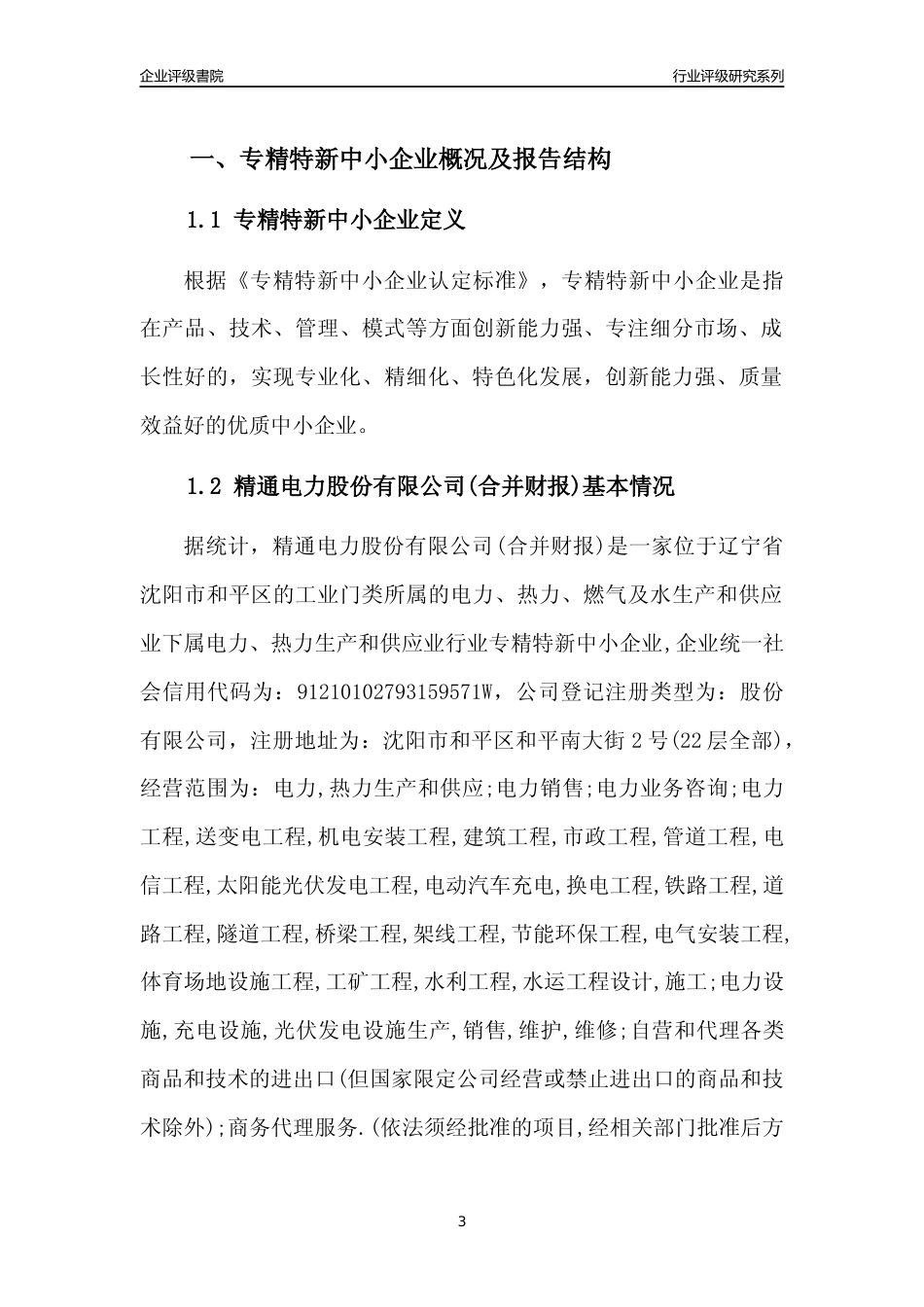 [专精特新]精通电力股份有限公司(合并财报)行业竞争力评级分析报告(2023版)_第3页