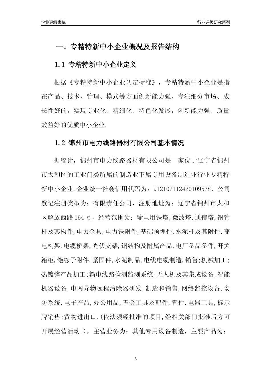 [专精特新]锦州市电力线路器材有限公司行业竞争力评级分析报告(2023版)_第3页