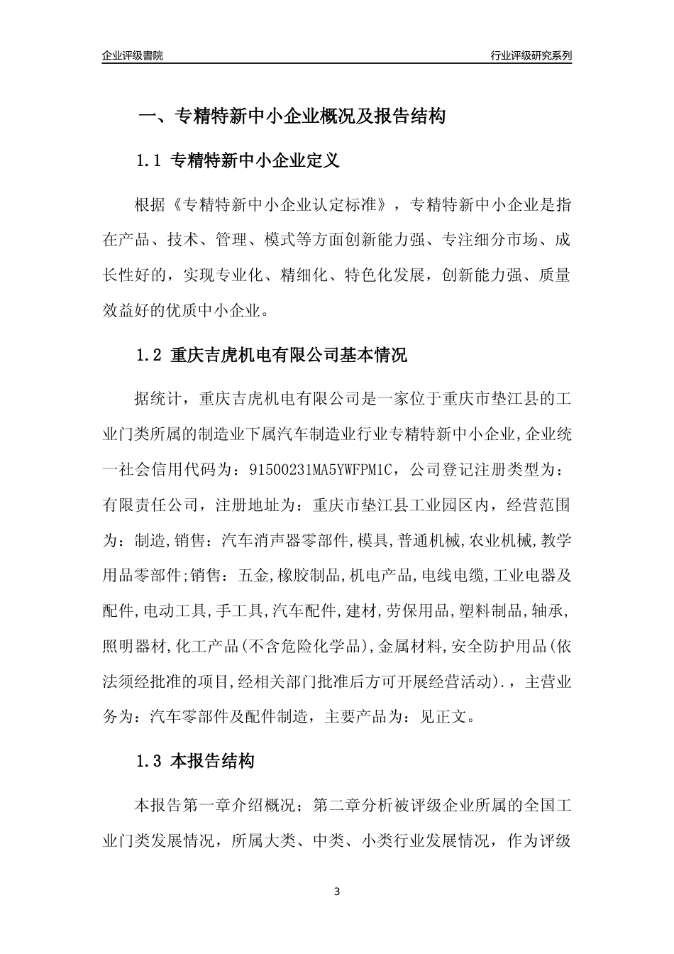 [专精特新]重庆吉虎机电有限公司行业竞争力评级分析报告(2023版)_第3页