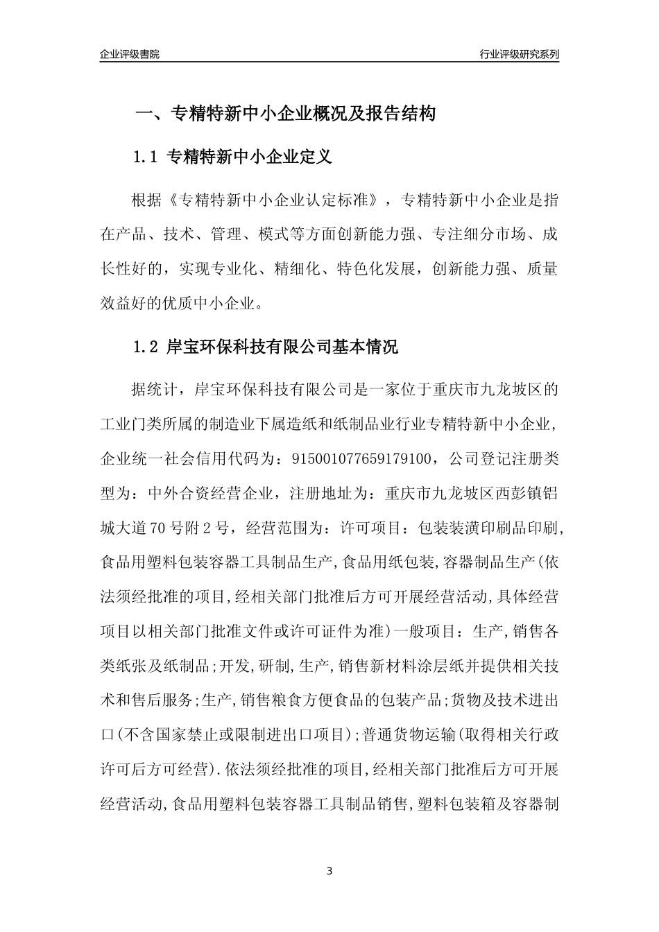 [专精特新]岸宝环保科技有限公司行业竞争力评级分析报告(2023版)_第3页