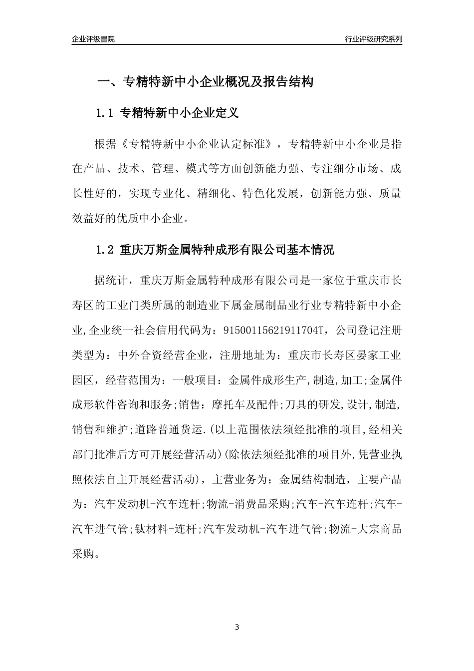 [专精特新]重庆万斯金属特种成形有限公司行业竞争力评级分析报告(2023版)_第3页