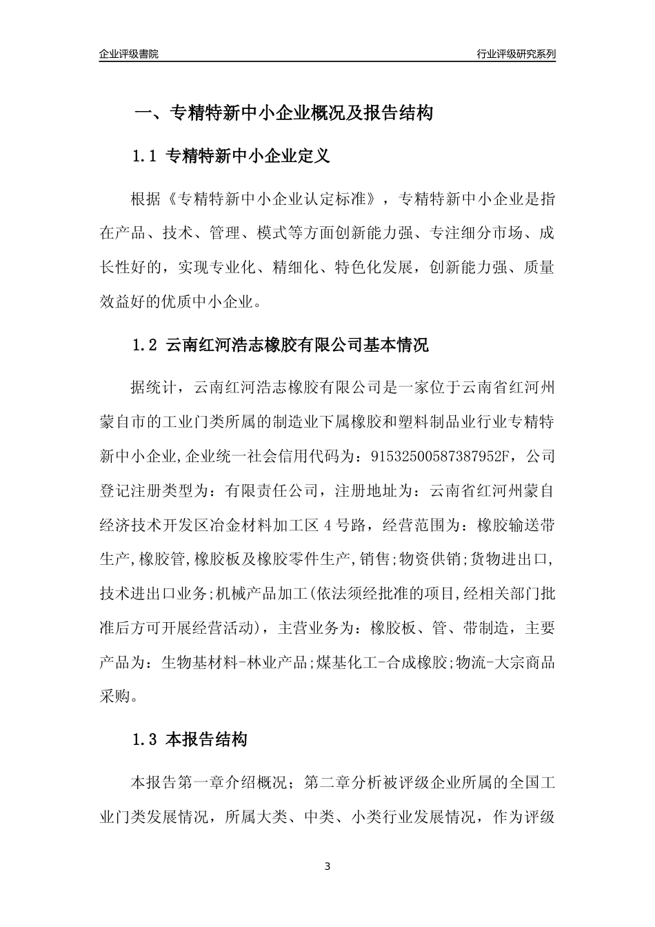 [专精特新]云南红河浩志橡胶有限公司行业竞争力评级分析报告(2023版)_第3页