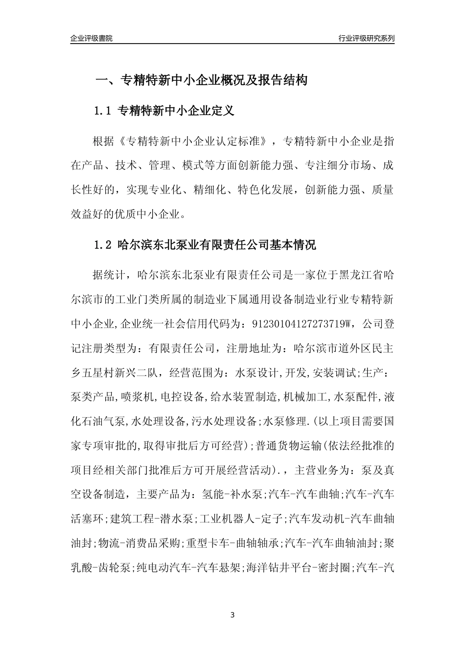 [专精特新]哈尔滨东北泵业有限责任公司行业竞争力评级分析报告(2023版)_第3页