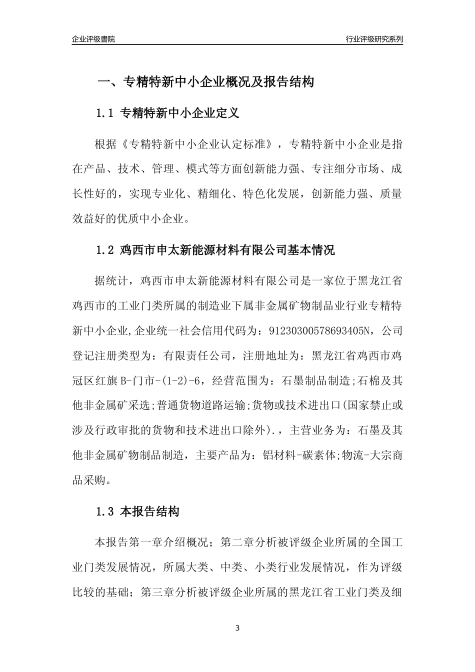 [专精特新]鸡西市申太新能源材料有限公司行业竞争力评级分析报告(2023版)_第3页