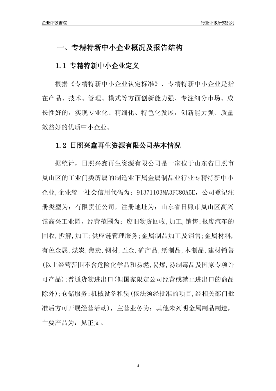 [专精特新]日照兴鑫再生资源有限公司行业竞争力评级分析报告(2023版)_第3页